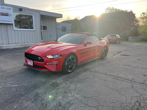 Photo of 2021 Ford Mustang GT California Special